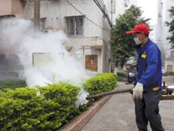 日照滅蚊蟲蒼蠅客戶案例